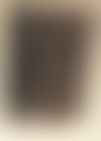 P 1960 - 255 (preview)