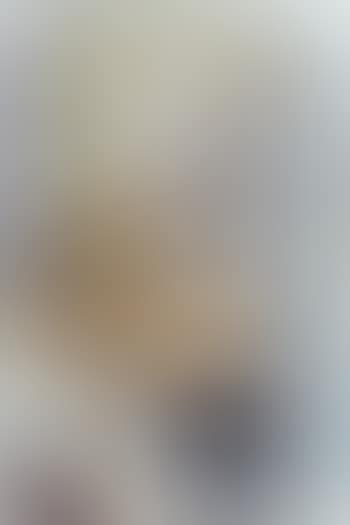 Demangeaison (preview)