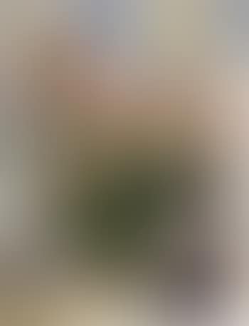 Pretendant (preview)