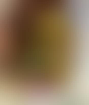 Scene dans un patio du harem (preview)