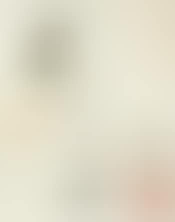 Peinture sur fond blanc (preview)