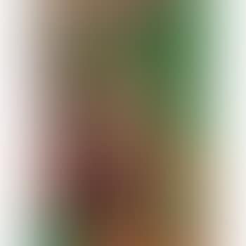 Two nudes in a forest (preview)