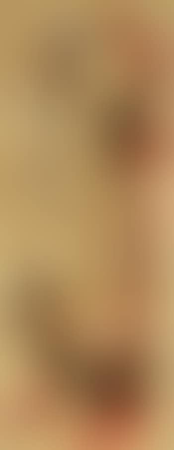 Figure ou personnage animal (preview)
