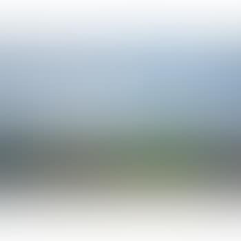 Paysage (preview)
