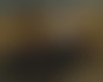 Paysage d'Arcadie (preview)