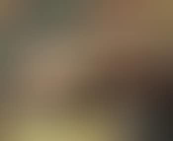 Anvers (preview)