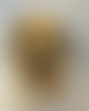 Tete de chien griffon, Follette (preview)