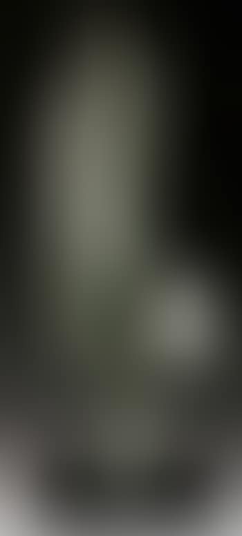 Vertical form (preview)