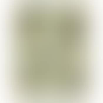 Design for a ceiling fresco (preview)