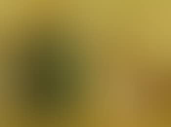 Nature morte (preview)