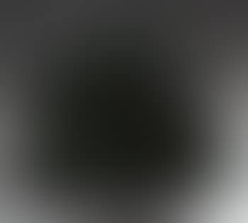 Panthere (preview)