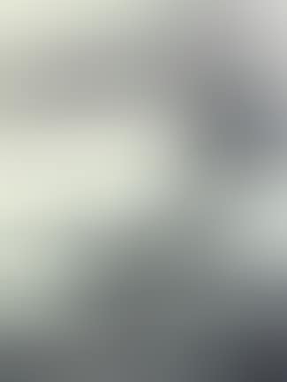Composition feuillages (preview)