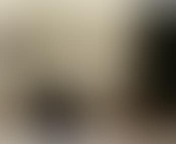 Museum Zaal (preview)