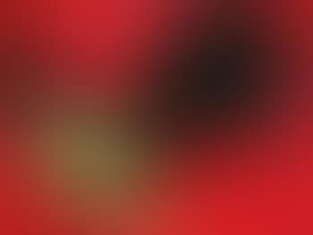 Composition (preview)