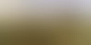 Landscape (preview)