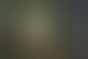 Woodland path at sunset (preview)
