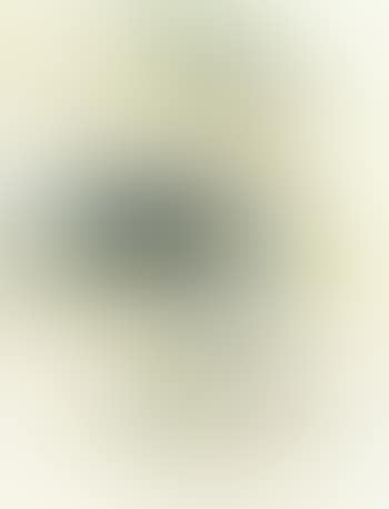 Five trees in the distance (preview)