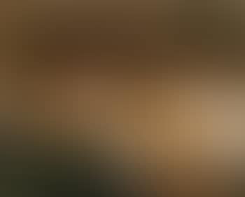 Nude resting (preview)