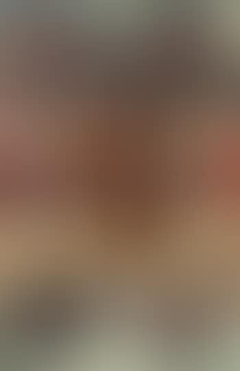 Untitled (preview)