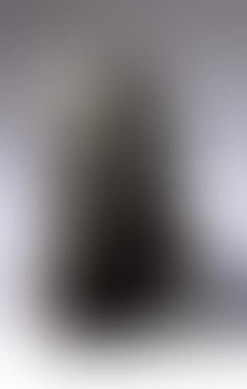 Portrait of Rabindranath Tagore (preview)