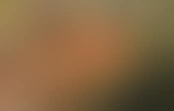 Grand Canyon I (preview)