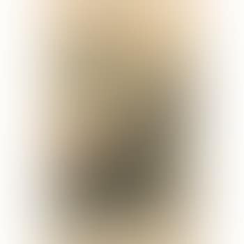 Le trophee (preview)