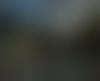 Memory of Radesin (preview)