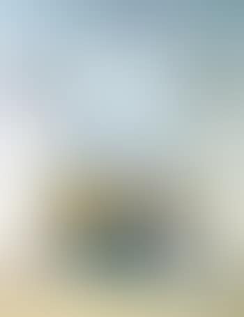 Le facteur (preview)