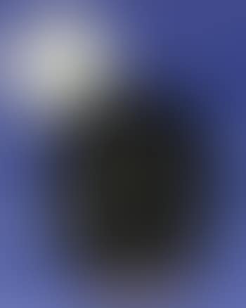 Hibou brillant (preview)
