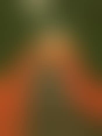 Boulevard with cypress trees (preview)
