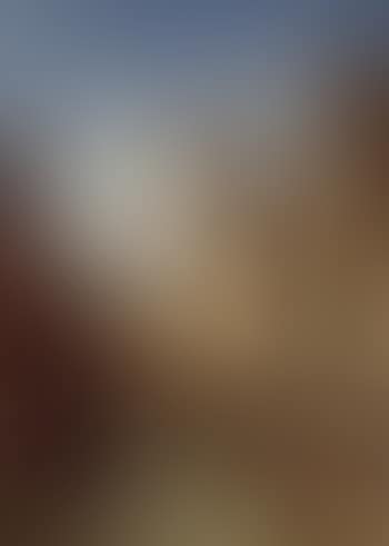 Venetian backwater (preview)