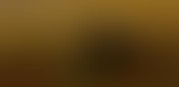 Paysage (preview)