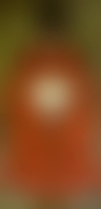 Portrait of a Vietnamese Mandarin (preview)