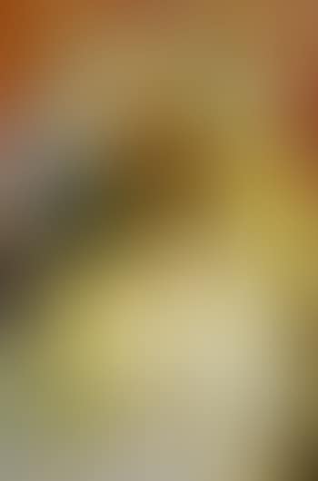 Vietnamese woman at a table (preview)