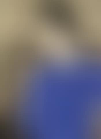 Lady in blue (preview)