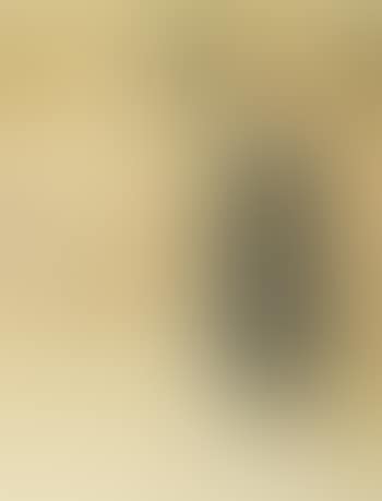 Frontispiece pour Ellis (preview)