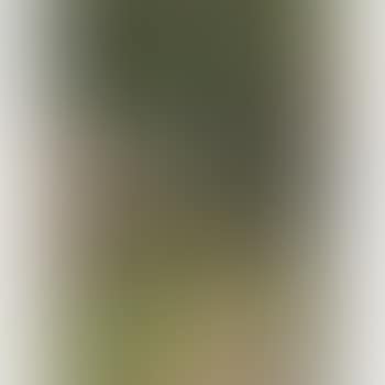 Fife landscape (preview)