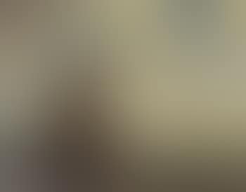 Sailing ship on calm water (preview)