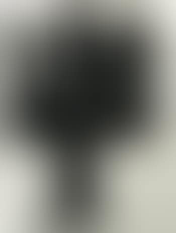 Black sculpture (preview)