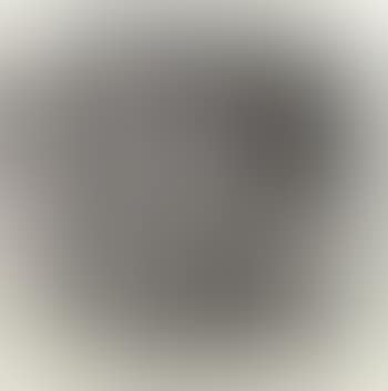 Abstract (preview)