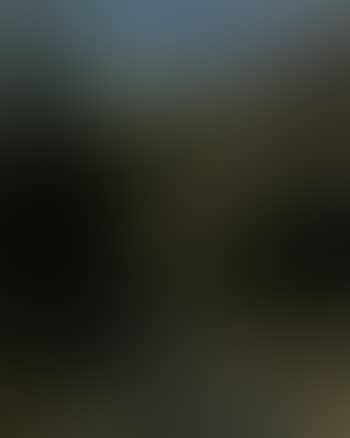 Etude pour paysage au torrent (preview)