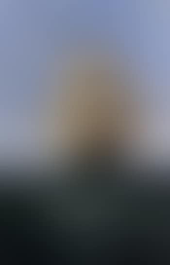 Full sail (preview)