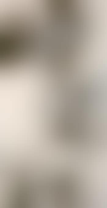 Egret (preview)