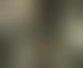 Boite a conserves (preview)