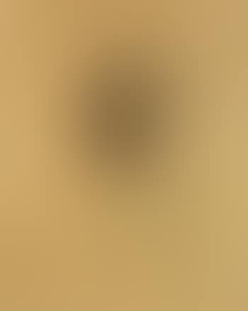 Study of boy (preview)