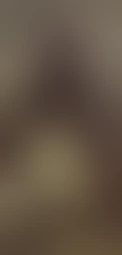 Picking cotton (preview)
