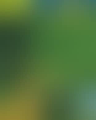 La cote (preview)