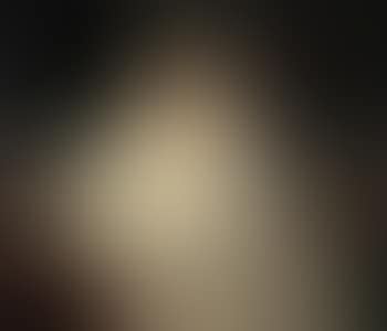 Judith with the head of Holofernes (preview)