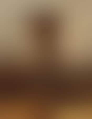 Borghese urn in landscape (preview)