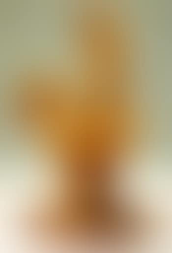 Coq (preview)
